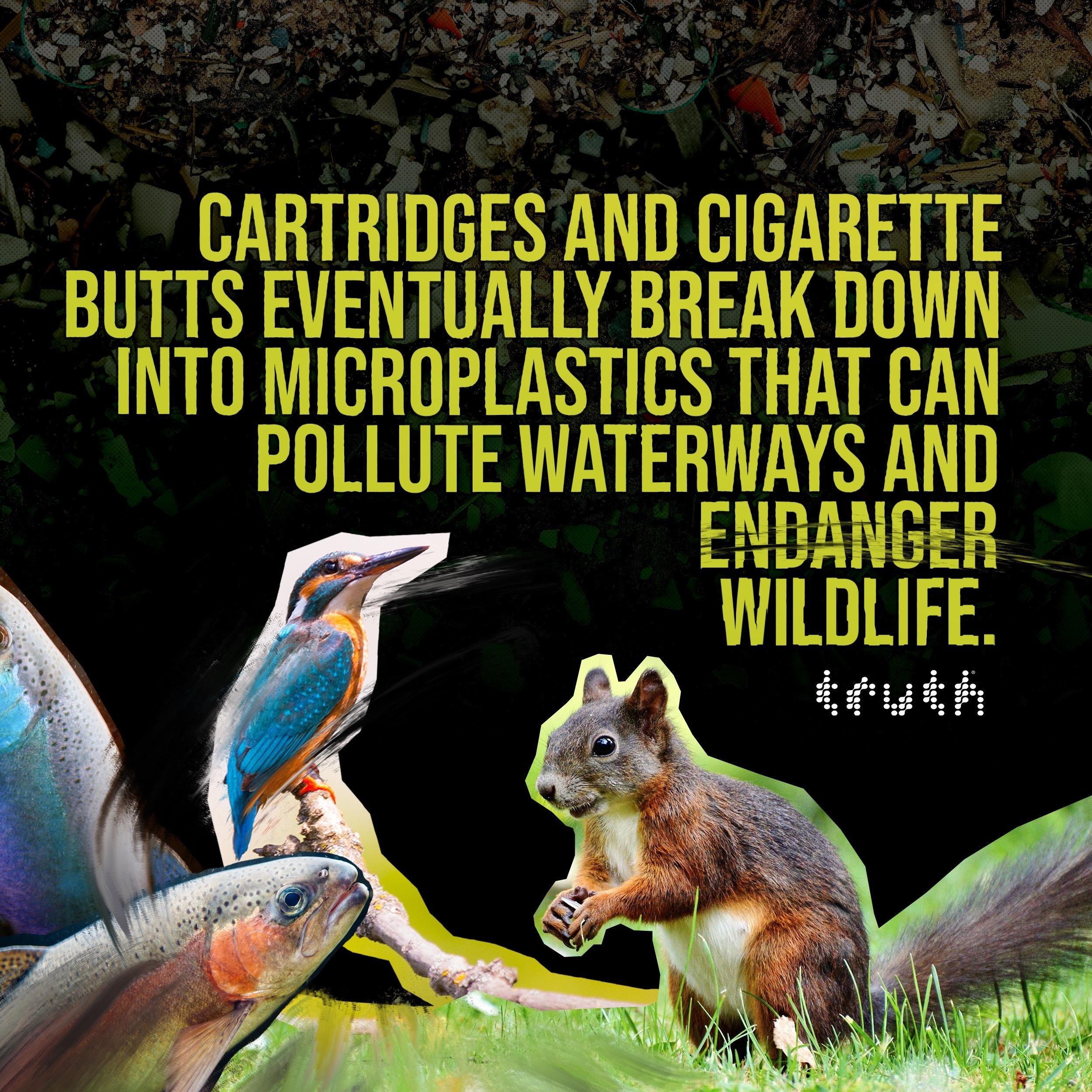 Cartridges and cigarette butts eventually break down into micro plastics that can pollute waterways and endanger wildlife.