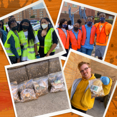Picking up tobacco trash