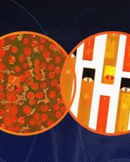 Vaping + Coronavirus