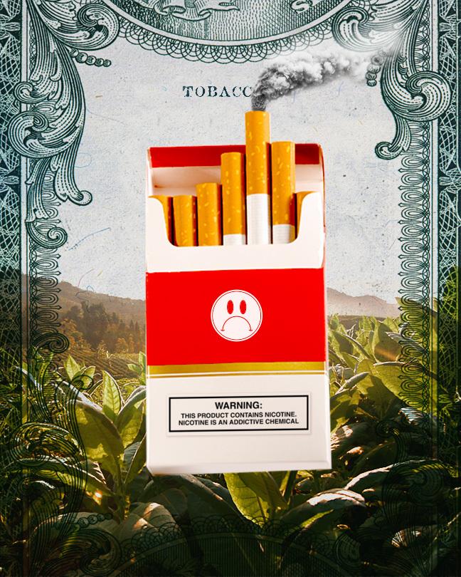 A pack of cigarettes over a field of tobacco with US currency overlay to promote Lincoln Mondy's Black Lives/Black Lungs 2: A Story of a Stolen Leaf.