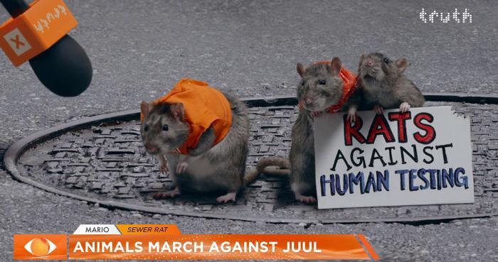 Three rats in orange outfits on a street hold a sign reading “Rats Against Human Testing” beside a news microphone.